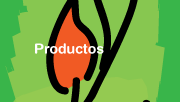 Productos