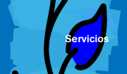 Servicios