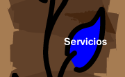 Servicios