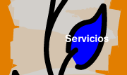 Servicios