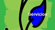 Servicios