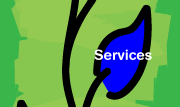 Servicios