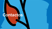 Contactos