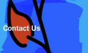 Contactos