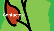 Contactos