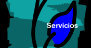 Servicios